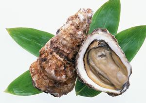 歌舞伎町にあるホストクラブで楽しむ